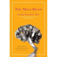 Image of The male brain