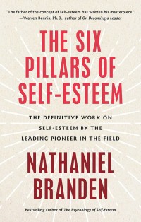 Image of The sixxx pillars of self esteem